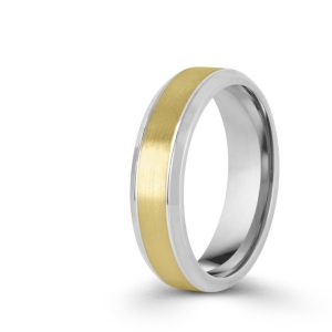 TwoTone Brushed Centre With Polished Rounded Beveled Edge Wedding Band